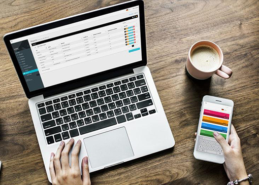 professionelle Fuhrparksoftware zur Darstellung Ihrer Flotte